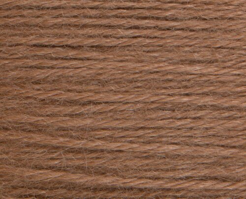 Alpaca 18 - Rainbow Gallery