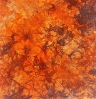 Atomic Ranch Fat Quarters Lugana