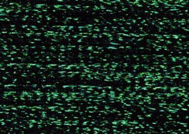 Fyre Werks by Rainbow Gallery