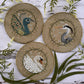 Puntini Puntini Elegant Birds Trio