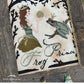 The Frog Prince (fairytale colletion) *Nashville Market Pre-Order*